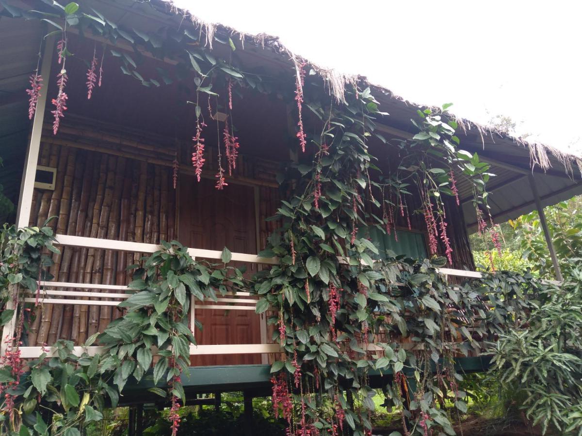 Koomankolly Resort Thirunelly Ngoại thất bức ảnh