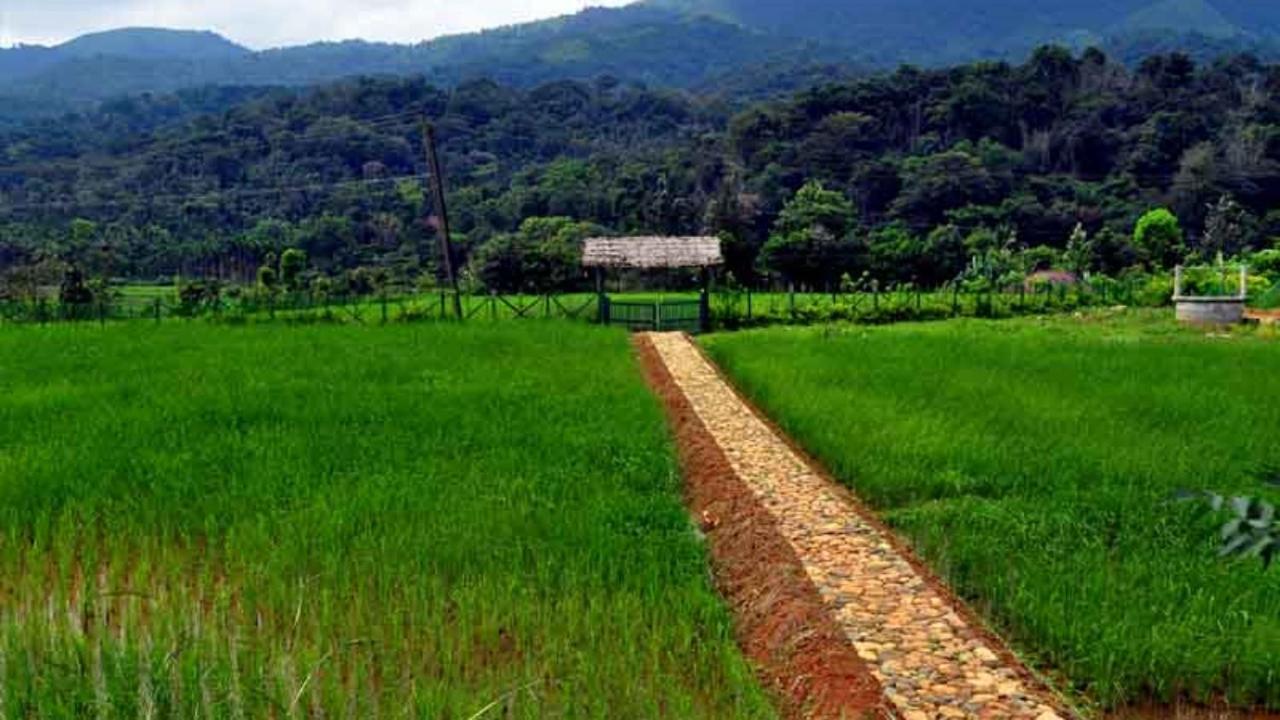 Koomankolly Resort Thirunelly Ngoại thất bức ảnh